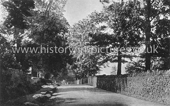 Mill Lane, Kingsthorpe, Northampton. c.1930.